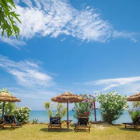 Apartment Yolo - Notte Alykes (Zakynthos)